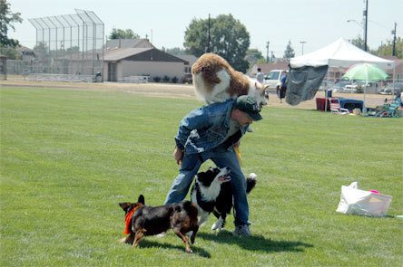 Trainer Ray Calhoun demonstrated to a small crowd the tricks he had taught his dogs