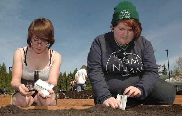Marysville Arts & Technology High School senior Nikki Cooley and sophomore Emalee Alaniz plant seeds in one of the school’s 16 garden beds on April 30.