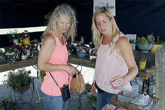 The new farmer's market in Marysville offers fresh food