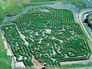 Biringer Farms is located off of SR 529 between Everett and Maryville. Web site: www.biringerfarm.com.