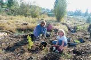 Working on the banks of the middle fork of the Quilceda Creek are members of Girl Scouts Troop 2087