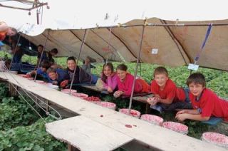 These kids are laying down on the job at Biringer Farms. From left are Ruslan Tsymbalyuk