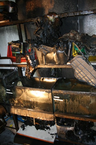 The dollar loss to the Jones and Co. Pet Store