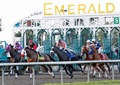 Horses charge right out of the gate just about an hour south of Marysville.