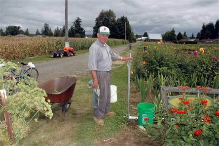 John Campbell’s 15-acre property on 51st Avenue was visited both by marijuana-growing intruders and by Snohomish County Sheriff’s deputies Aug. 19.