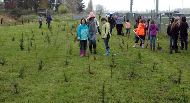 Seventy-five students from the Marysville Cooperative Education Program at Marshall Elementary planted more than 1