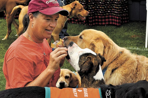 Eileen Hinkley sits down to feed treats to a swarm of canines at last year’s Poochapalooza at Strawberry Fields Athletic Park.