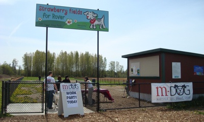 Members of the Marysville Dog Owners Group maintain the 'Strawberry Fields for Rover' off-leash dog park with regular work parties.