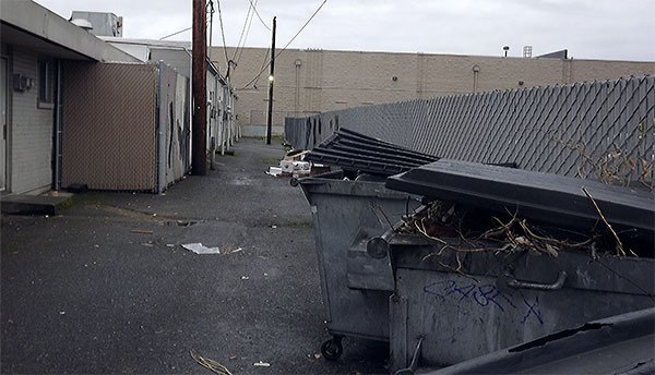 A toddler was found in this alley Monday afternoon by a waitress at Christiano's.