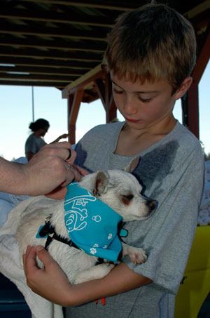 Volunteer Gabriel Brearty holds “Lil’ Man” as the freshly washed dog receives a new scarf at the Aug. 20 ‘Scrub-a-Mutt’ at the Strawberry Fields Athletic Park.