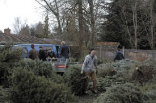Local Boy Scouts unload Christmas trees at Jennings Memorial Park