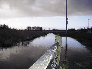 The damage caused by the recent flooding has been repaired and the opening of the Strawberry Fields for Rover Off-Leash Park has been rescheduled for Dec. 6