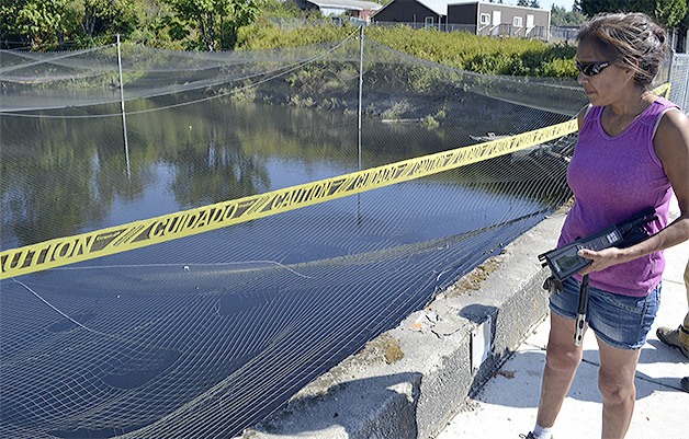 Holly Reed looks at the site where four people died early this morning on the Tulalip Reservation.