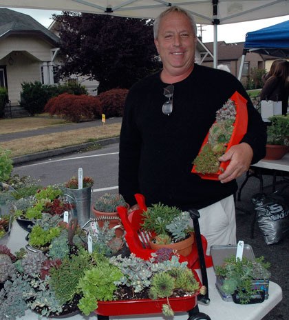 Not only did Dan Flax enjoy selling succulents and sedums to budding horticulturalists at last year's Marysville HomeGrown street fair