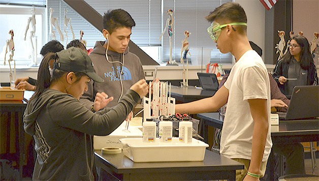 Students at Marysville Getchell High School's Bio-Med Academy work on a science lab in a CTE class. Such classes are increasing in popularity in the school district.