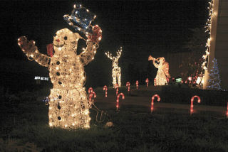 The gloomy dark days of winter are brightened with the lights of Christmas in yards and on houses in north Snohomish County. This yard