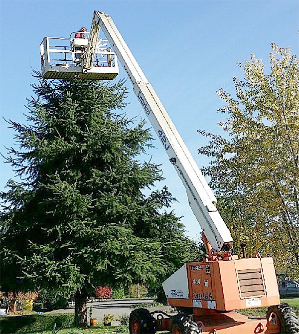 A bucket was used to decorate the top of a tree this year with Christmas lights.