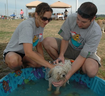 While dogs like Bandit