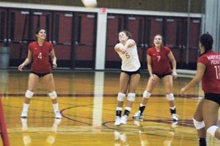 Teammates Taylor Olsen