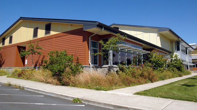 The overgrown state of the grounds of Grove Elementary has been acknowledged by Marysville School District officials and criticized by the school’s neighbors.