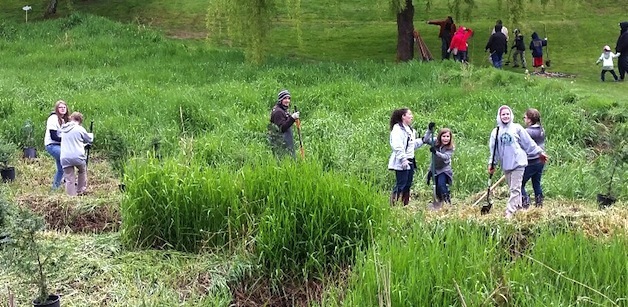Nearly 90 volunteers observed Earth Day April 25 by planting of 50 cedar and 50 spruce trees at Jennings Park with the help of the city of Marysville and the Adopt-A-Stream Foundation.
