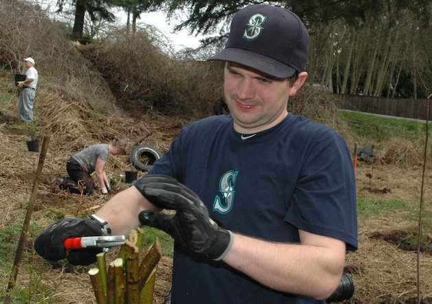 John Feltner trims the ends of live stakes that have been sitting in water and are ready to take root along the sides of Allen Creek.
