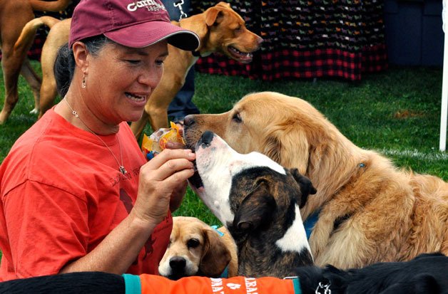 Eileen Hinkley sits down to feed treats to a swarm of canines at the sixth annual Poochapalooza at Strawberry Fields Athletic Park on July 14.