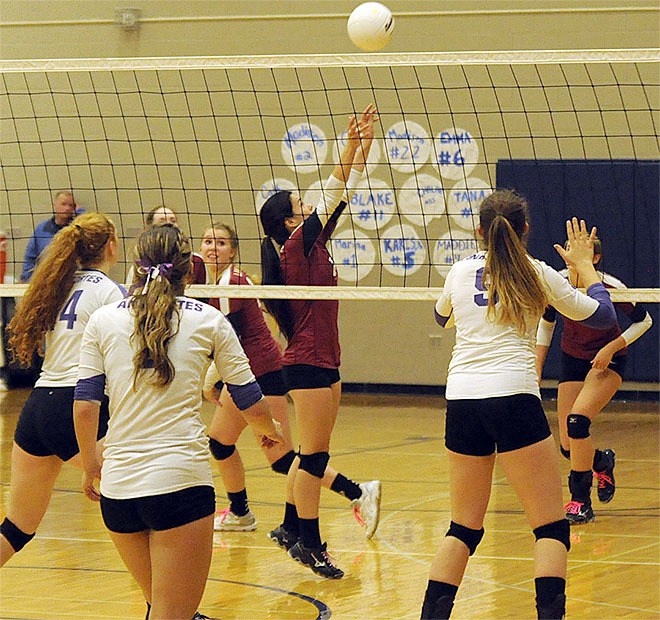Lakewood senior setter Erin White sets up a spike for Cougars' offense in playoff game against Anacortes.
