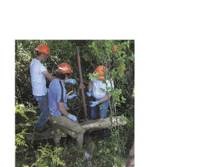 AASF ecologist Walter Rung helps two Edmonds Community College students with log installation alongside the West Fork of Quilceda Creek.