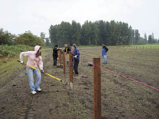 Gathered to help Marysville’s first off-leash dog park are
