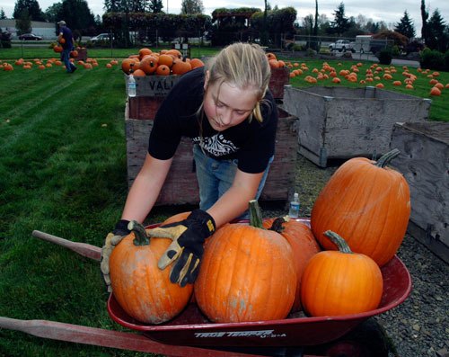 Alexis Bundy helps out by moving pumpkins from crates into wheelbarrows for the Marysville Rotary’s “Pumpkins for Literacy” program Oct. 2.