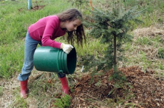 Everett resident Eleanore Johnson