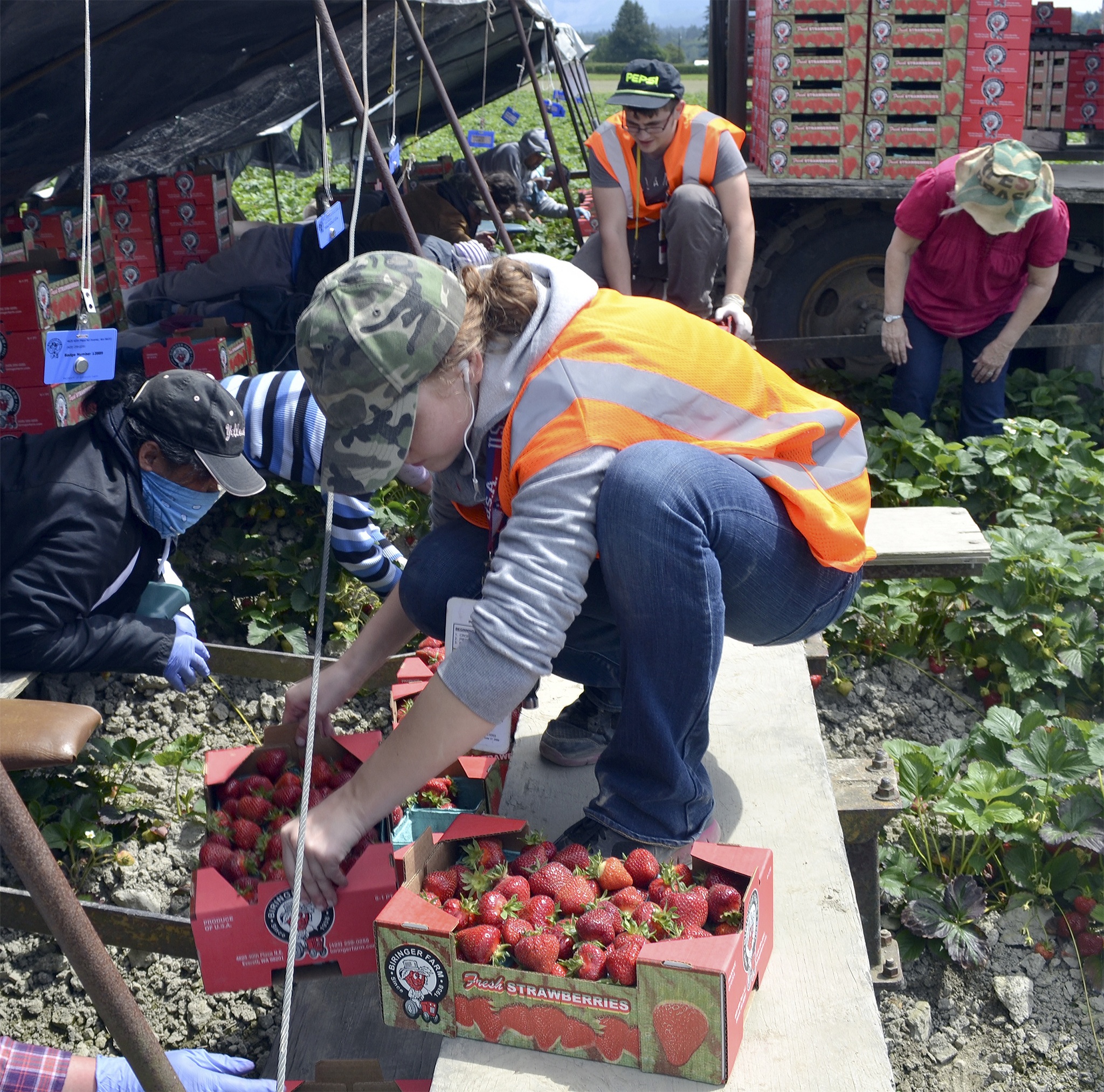 Steve Powell/Staff Photo