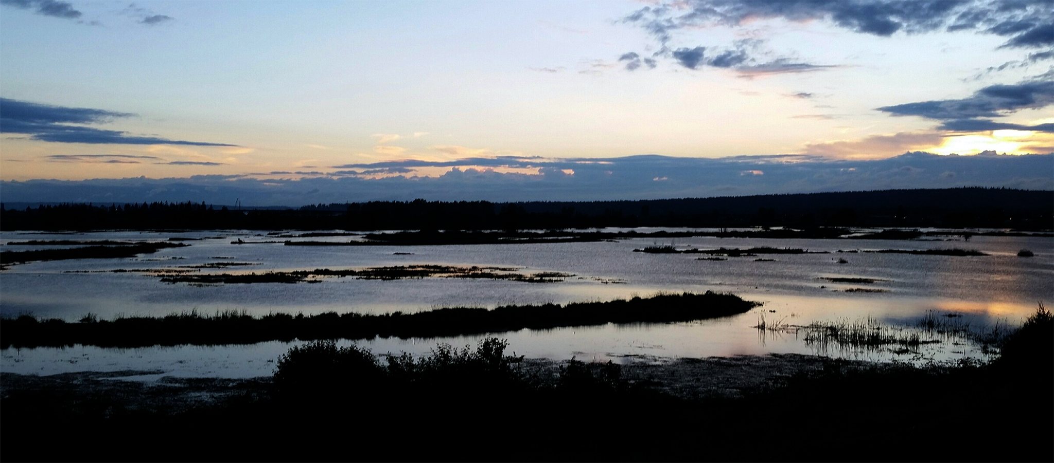 Steve Powell/Staff Photo