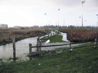 Elevated water levels in the Quilceda Creek corridor caused the scheduled Nov. 15 grand opening for the “Strawberry Fields for Rover” off-leash dog park to be postponed to Dec. 6.