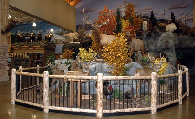 While the mountain of taxidermy trophies is a standard feature of any Cabela’s store