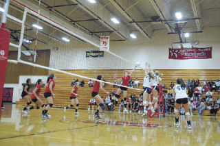 Senior hitter Jenna Welsh goes for a soft tap over the net.