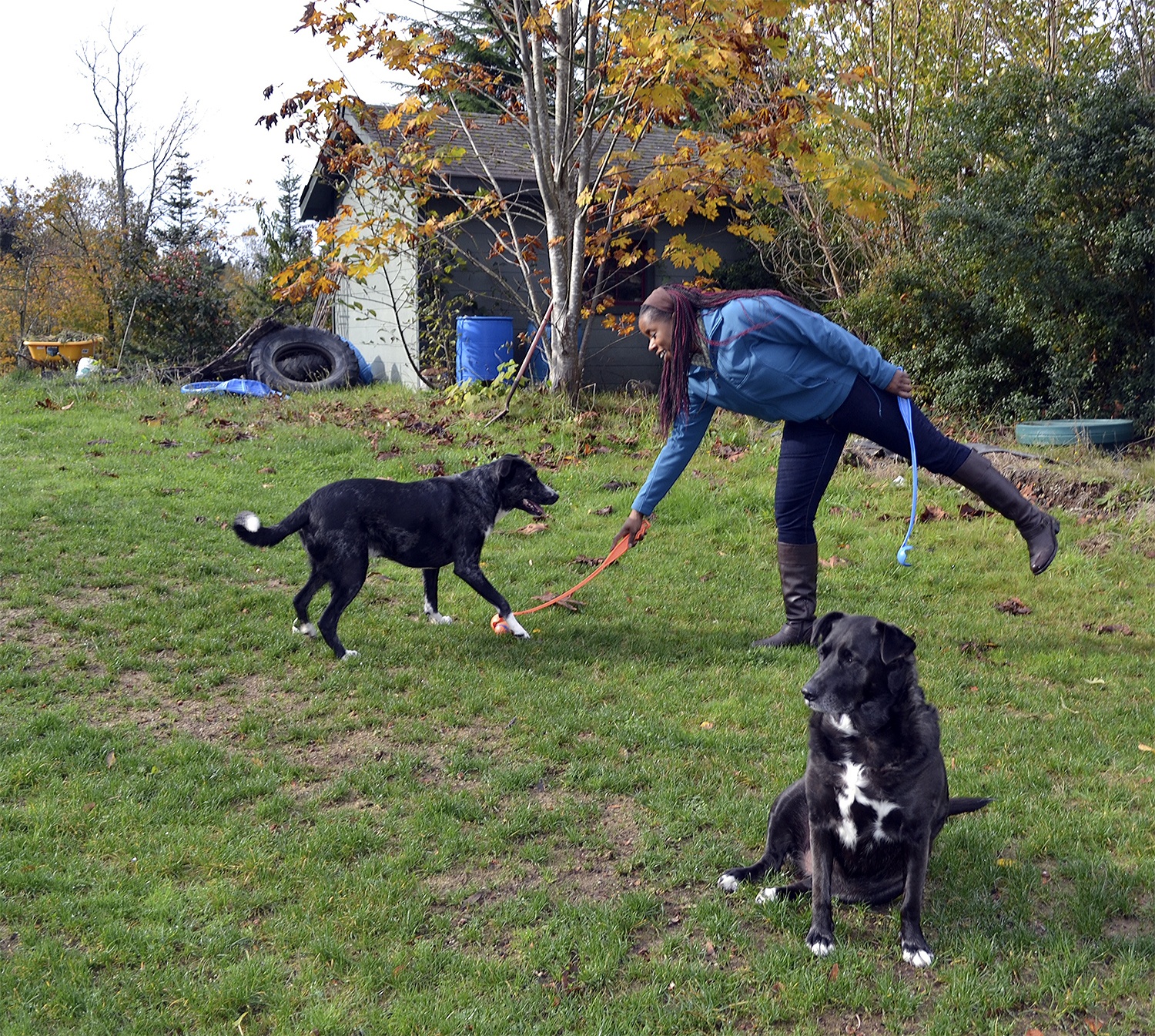 Kimberly Gauthier of Marysville plays with two of her four dogs outside her home. Gauthier writes a blog that has caught nationwide attention, including sponsors. (Steve Powell/Staff Photo)