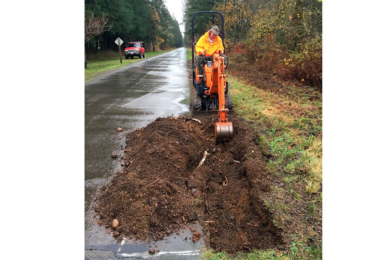 Trees at root of problem on Centennial Trail