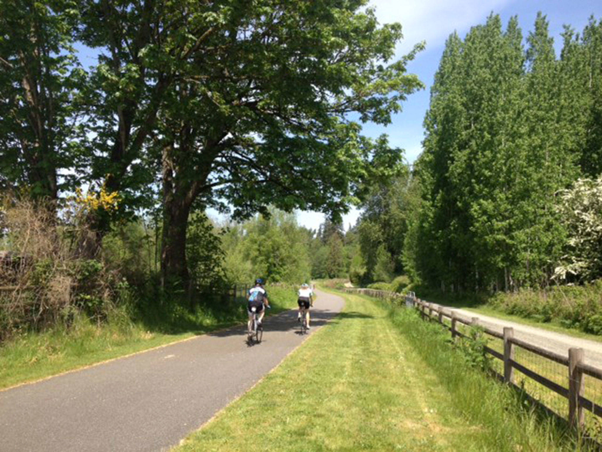 Do spin your wheels, get healthy riding a bike Marysville Globe