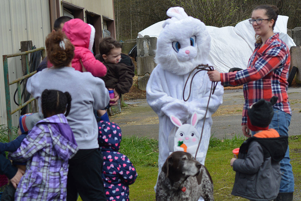 Easter Bunny hops around at M’ville horse rescue