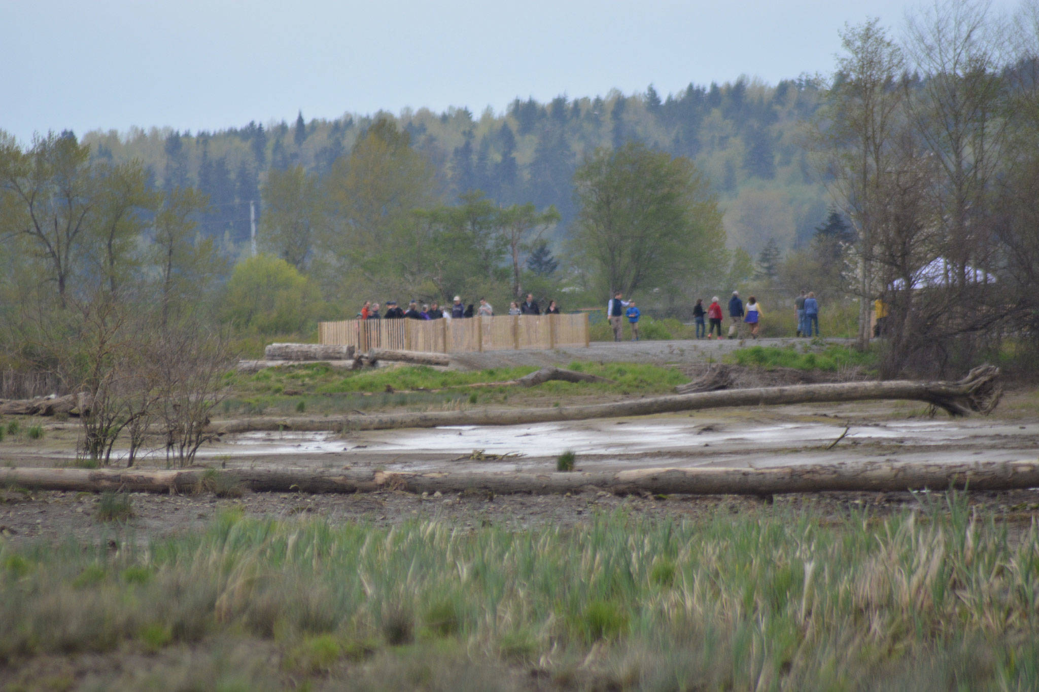 East side of Ebey Waterfront Trail also opens (slide show)