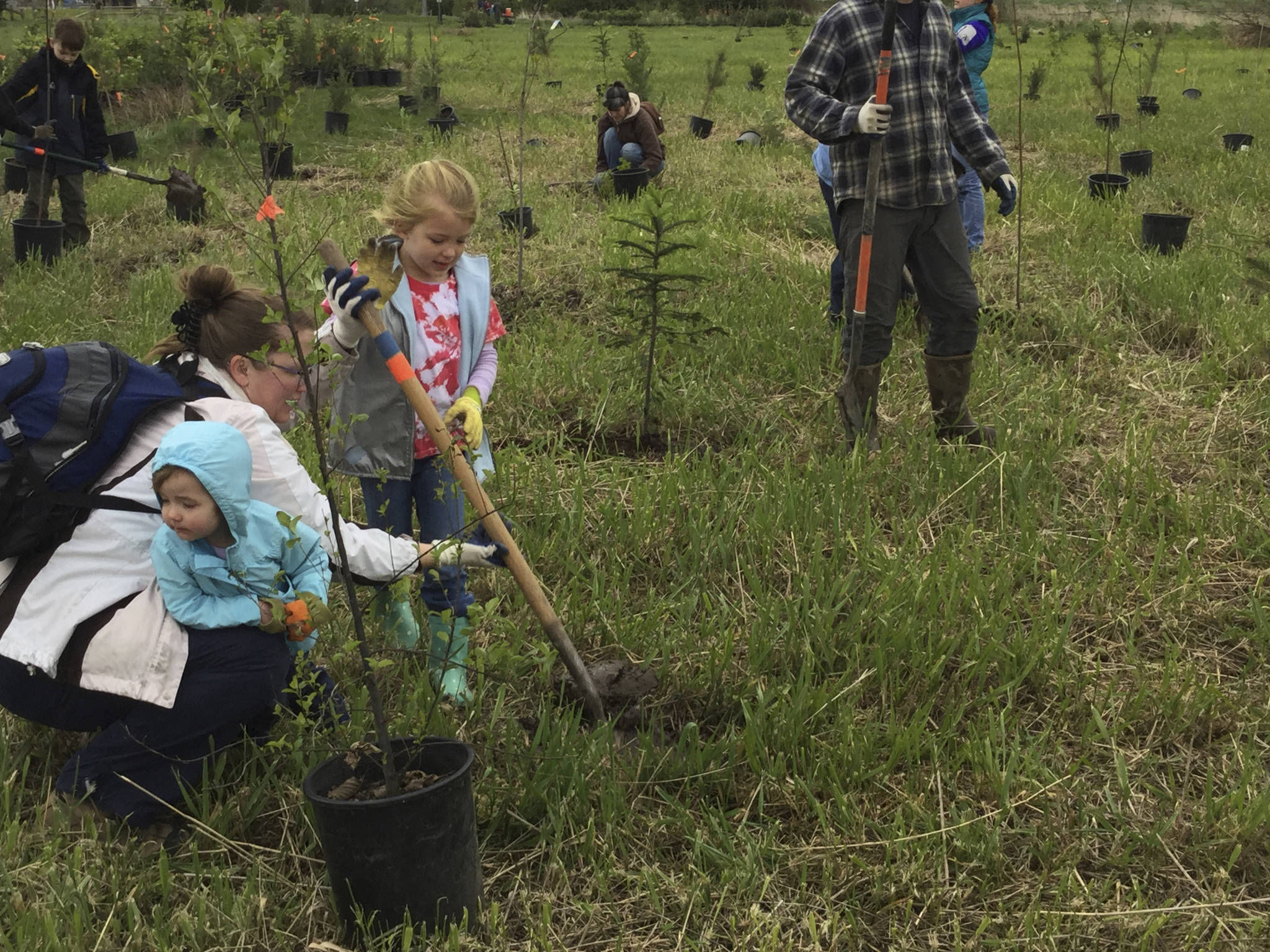 Marysville, Arlington team up for Earth Day planting event for Edgecomb Creek