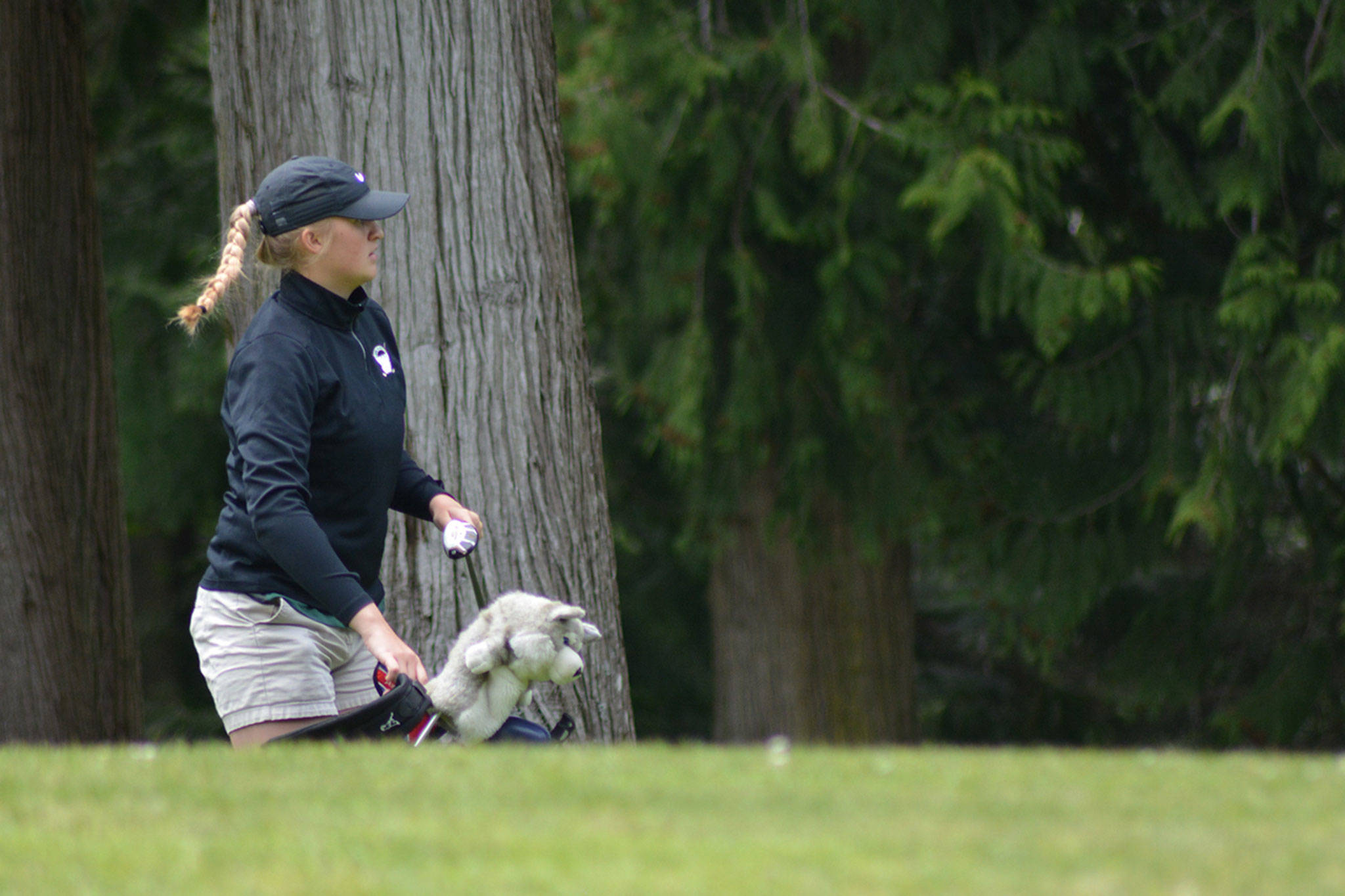 Girls district golf tourney at Kayak Point (slide show)