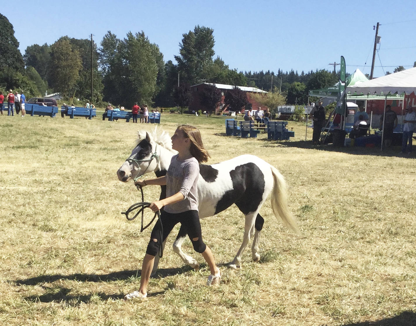 Silvana Community Fair celebrates 70th year