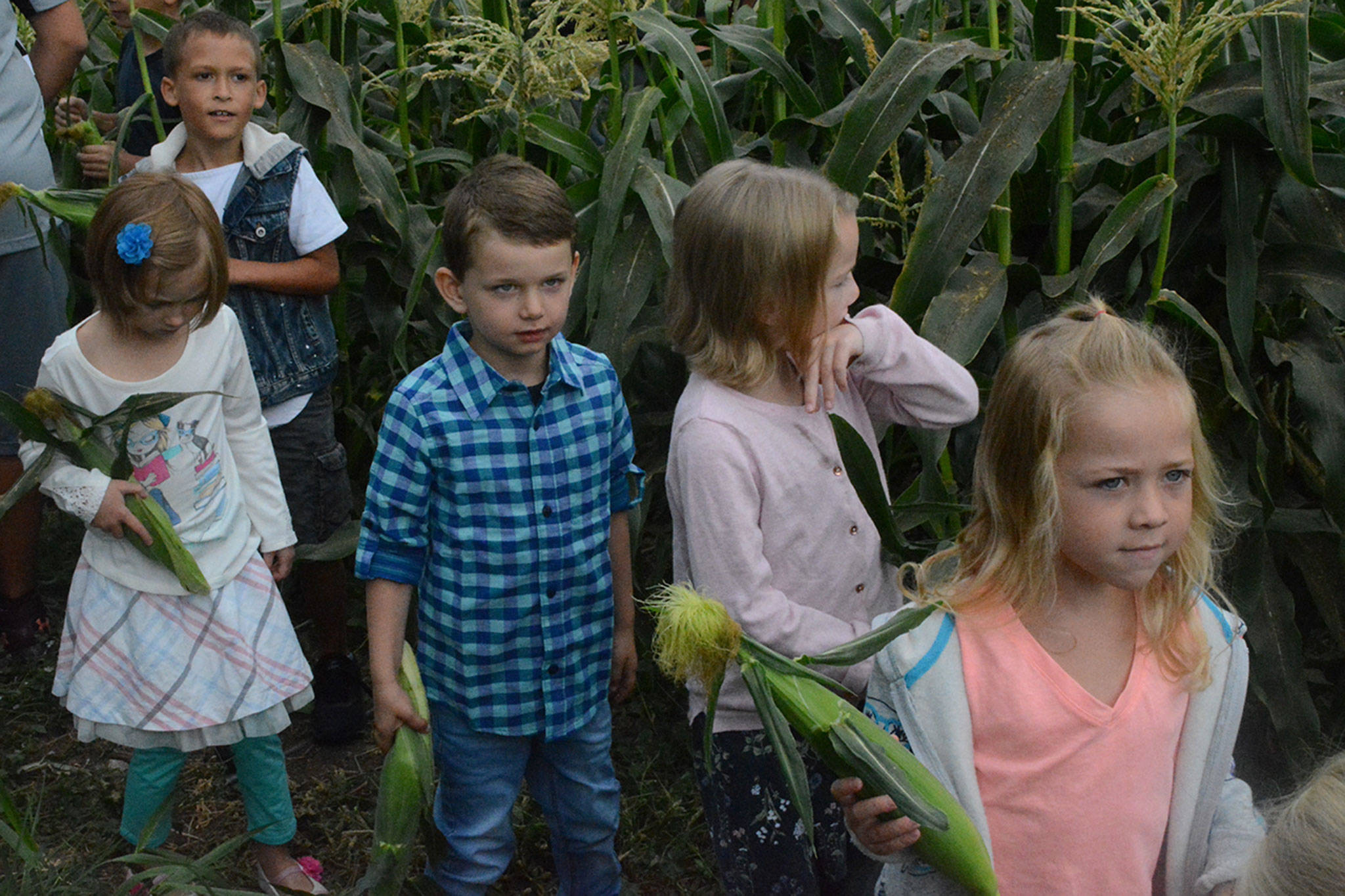 Kids cobble a kernel of knowledge at school’s kickoff