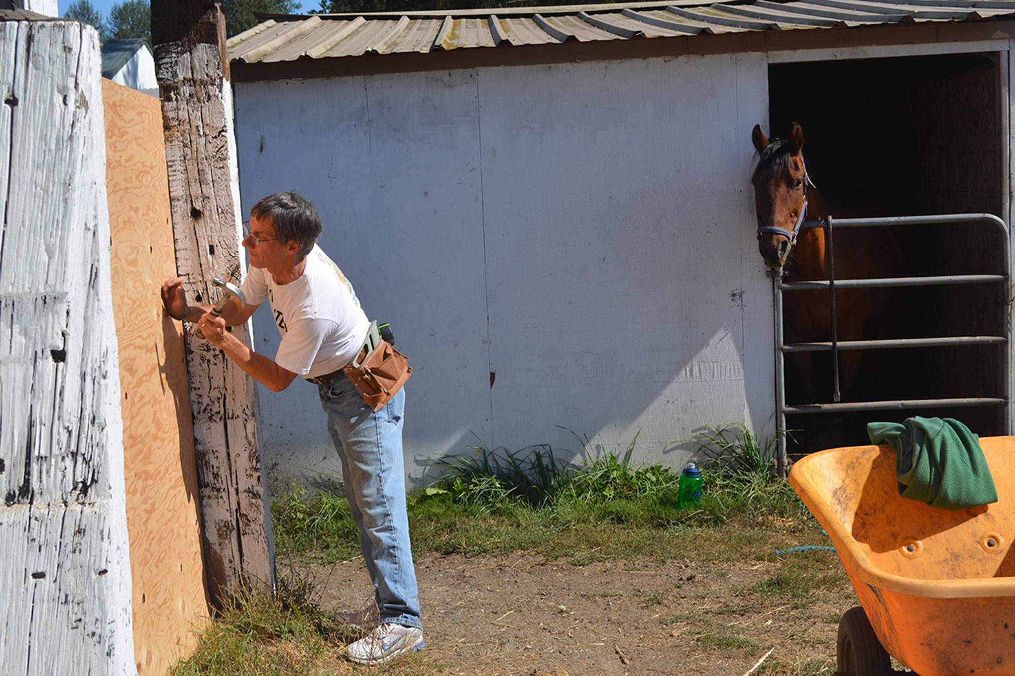 Now Rez-Q does have a white-picket fence