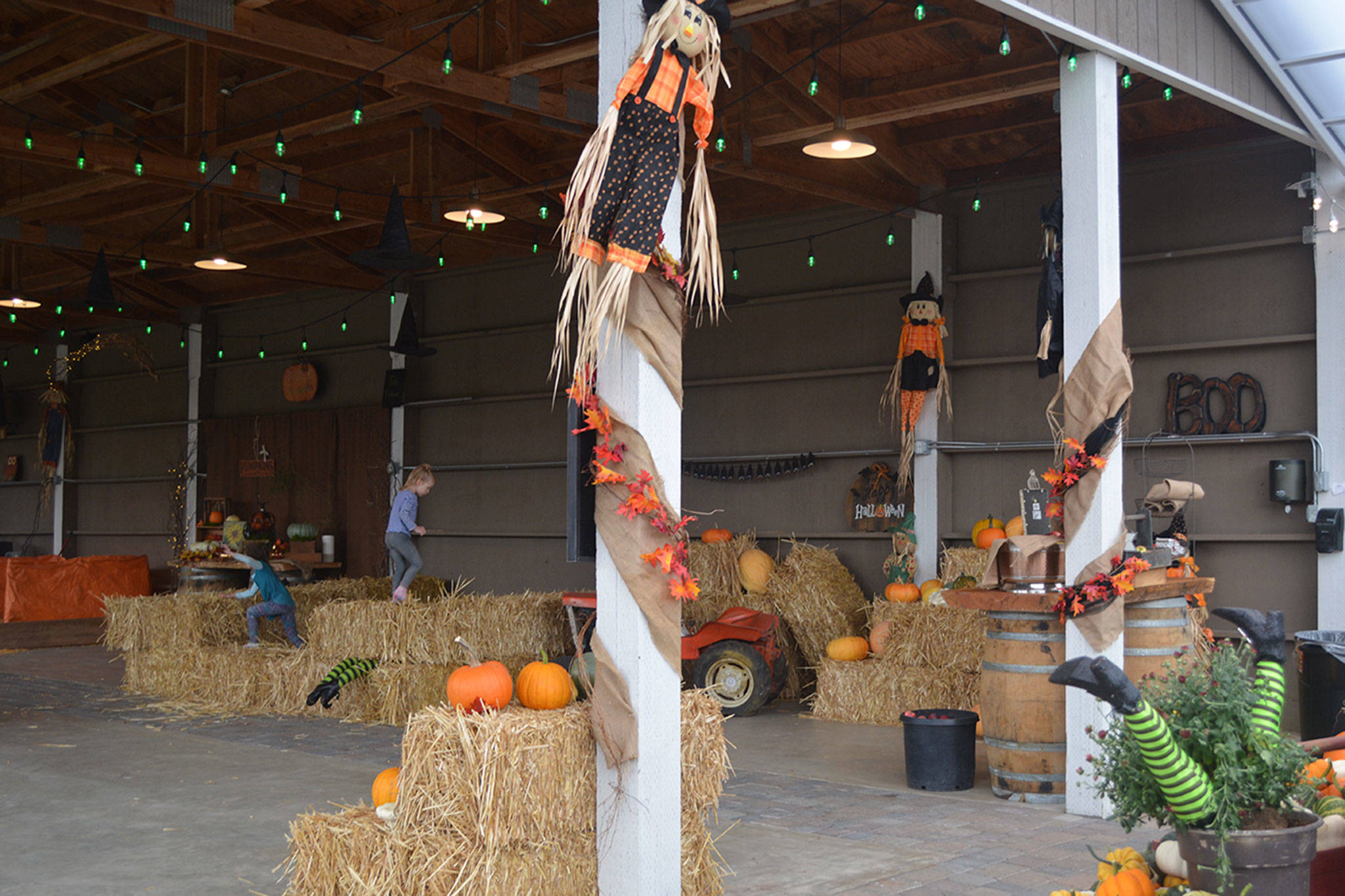 Lovin’ it: This outdoor pumpkin patch makes it so much easier (slide show)