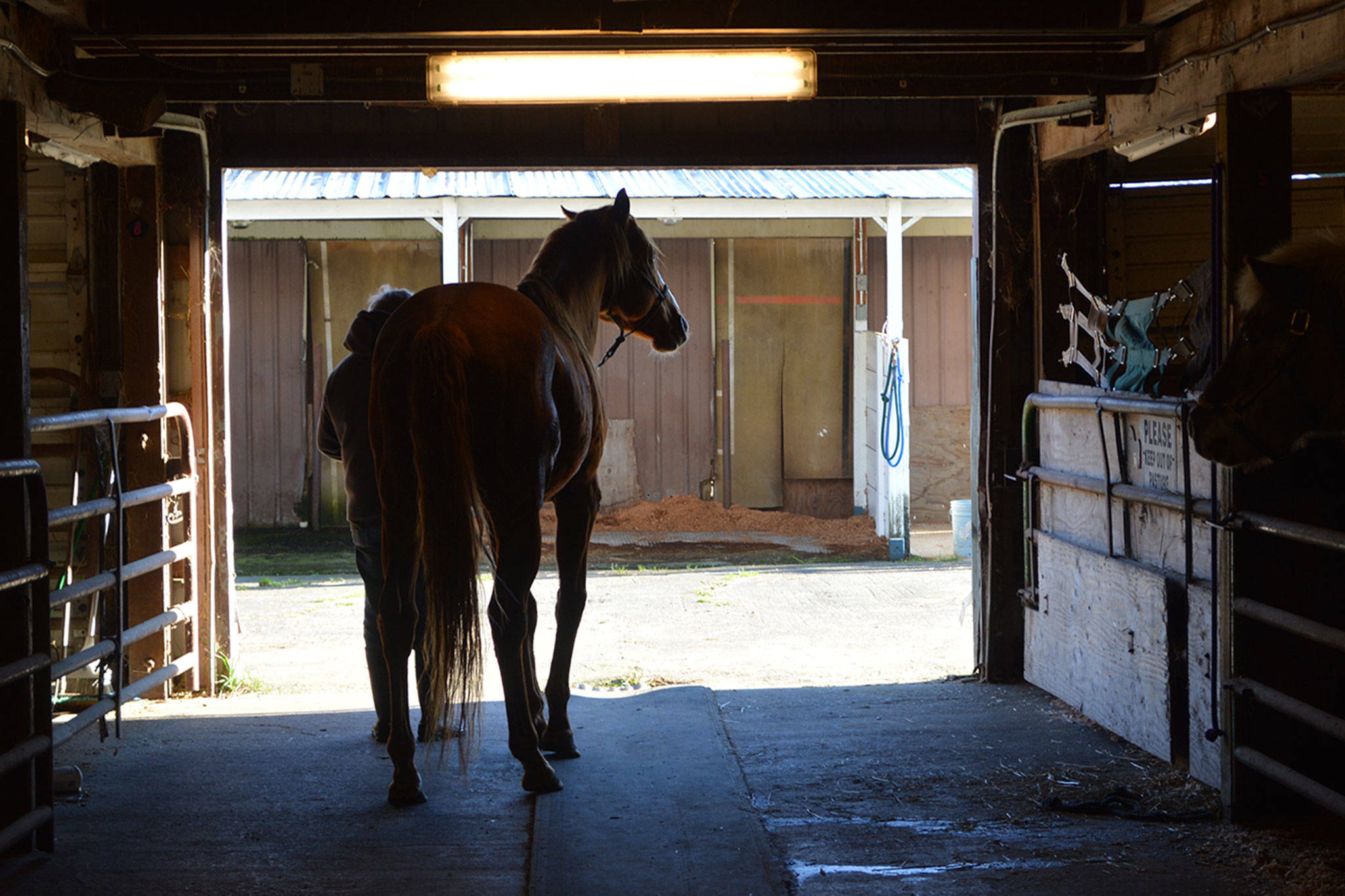 Rez-Q looking for new home on the range (slide show)