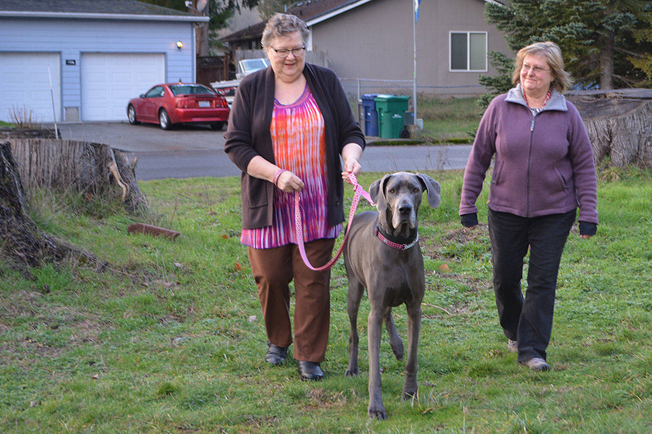 Irene Anderson, left, of Tulalip walks her dog, Sadie, with the help of Marsha Hicks, a volunteer companion with Homage Senior Services. (Steve Powell/Staff Photo)
